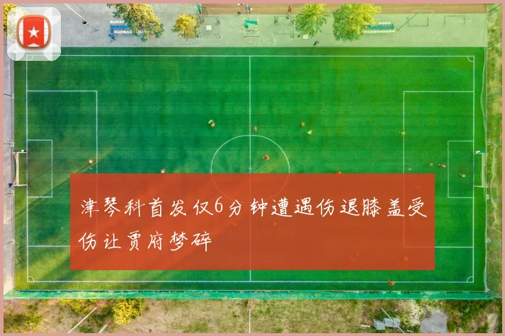 津琴科首发仅6分钟遭遇伤退膝盖受伤让贾府梦碎