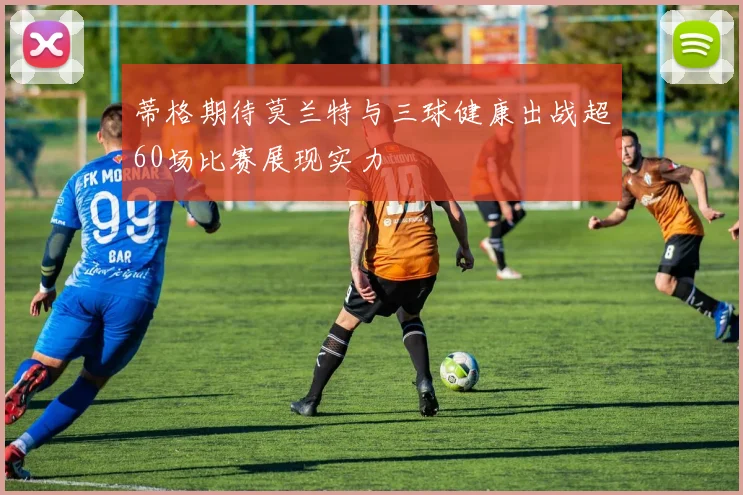 蒂格期待莫兰特与三球健康出战超60场比赛展现实力