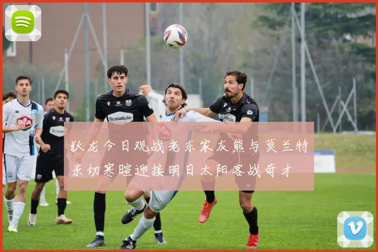 狄龙今日观战老东家灰熊与莫兰特亲切寒暄迎接明日太阳客战奇才