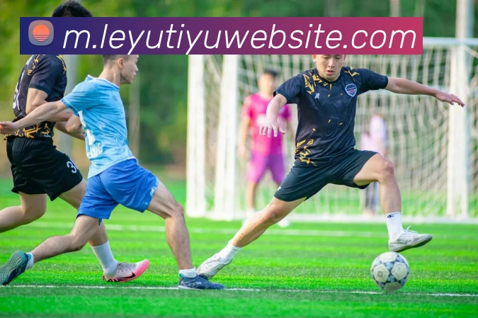 App Interface Preview