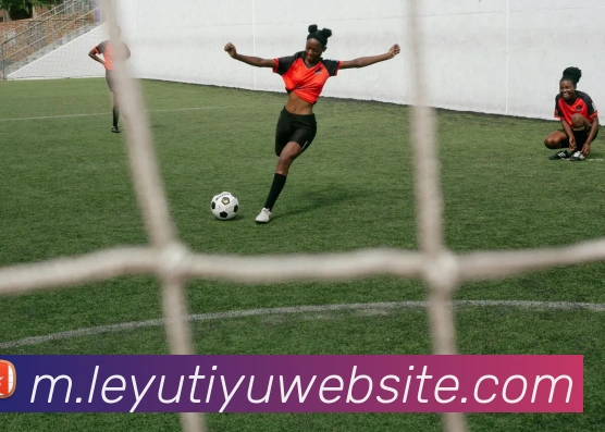 乐鱼体育APP 封面图